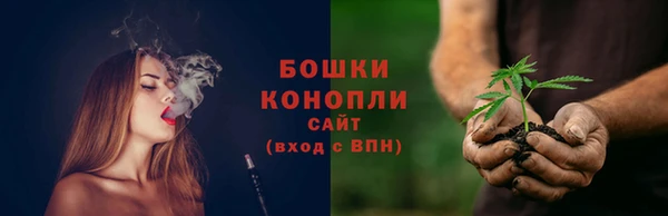 соль ск Бородино