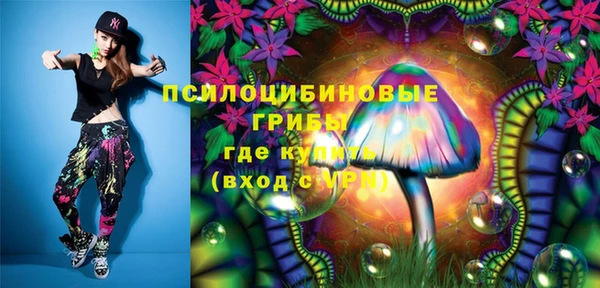 МДПВ Волоколамск