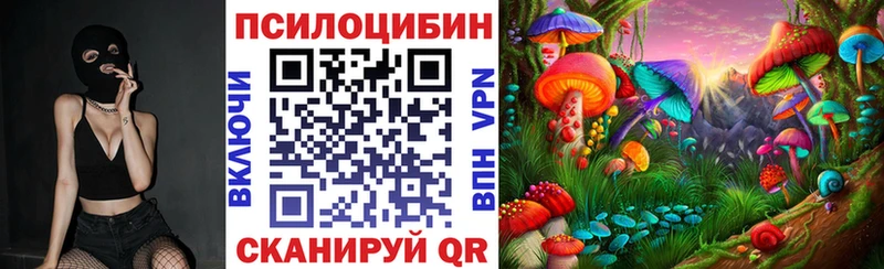 мега сайт  Камбарка  Галлюциногенные грибы Cubensis 